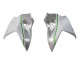 Carenados Moto Kawasaki Ninja H2 2015-2022 - Blanco Plata Verde