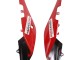 Carenados Moto Aprilia RS4 50 125 2012-2018 - Blanco Rojo Verde Negro Brillante