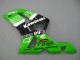 Carenados Moto Kawasaki ZX6R 2003-2004 - Verde Blanco Negro Elf Bridgestone