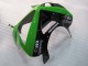 Carenados Moto Kawasaki ZX6R 2003-2004 - Verde Negro Elf Bridgestone