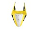 Carenados Moto Yamaha YZF R3/R25 2019-2021 - Amarillo Blanco Negro Raya