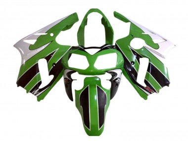 Carenados Moto Kawasaki ZX12R 2002-2006 - Blanco Verde Negro