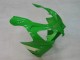 Carenados Moto Kawasaki ZX9R 2000-2001 - Verde Plata Negro