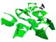 Carenados Moto Kawasaki ZX9R 2000-2001 - Verde