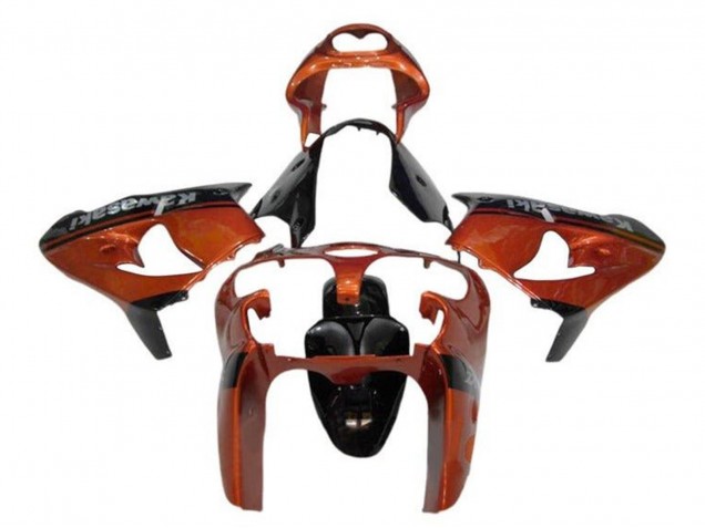 Carenados Moto Kawasaki ZX9R 2002-2003 - Naranja Negro